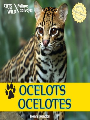 cover image of Ocelots / Ocelotes